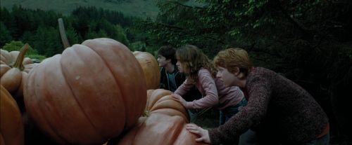 PdA-Potterish_5477.jpg