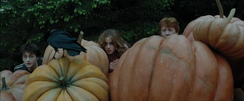 Click to view full size image
==============
PdA-Potterish_5485.jpg PdA-Potterish_5485.jpg