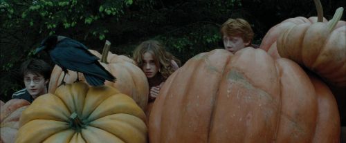 Click to view full size image
==============
PdA-Potterish_5486.jpg PdA-Potterish_5486.jpg
