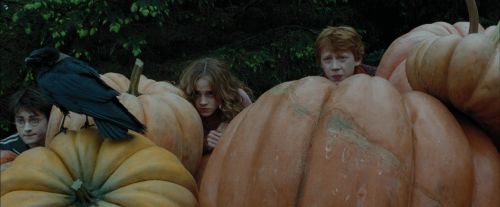 PdA-Potterish_5487.jpg