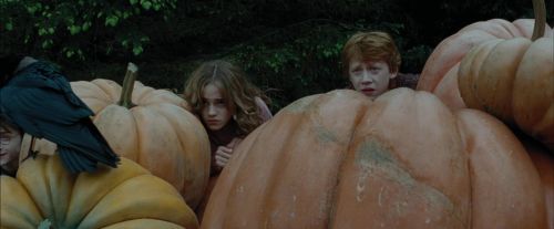 Click to view full size image
==============
PdA-Potterish_5488.jpg PdA-Potterish_5488.jpg