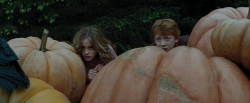 PdA-Potterish_5489.jpg