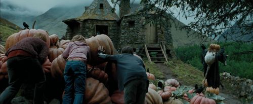 PdA-Potterish_5490.jpg