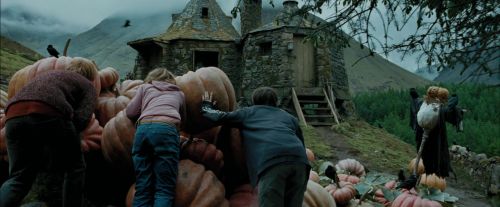 Click to view full size image
==============
PdA-Potterish_5491.jpg PdA-Potterish_5491.jpg