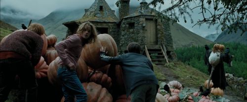 Click to view full size image
==============
PdA-Potterish_5492.jpg PdA-Potterish_5492.jpg