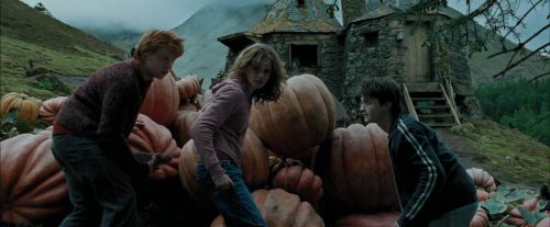 PdA-Potterish_5498.jpg
