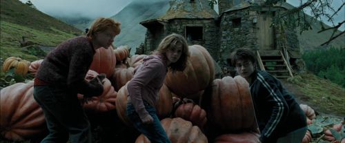 Click to view full size image
==============
PdA-Potterish_5500.jpg PdA-Potterish_5500.jpg