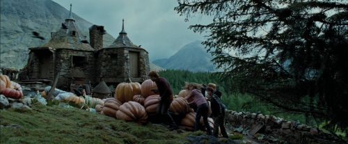PdA-Potterish_5501.jpg