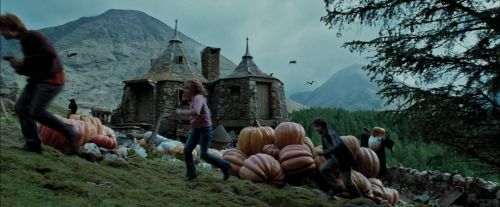 PdA-Potterish_5503.jpg