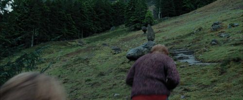 PdA-Potterish_5504.jpg