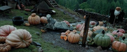 PdA-Potterish_5508.jpg