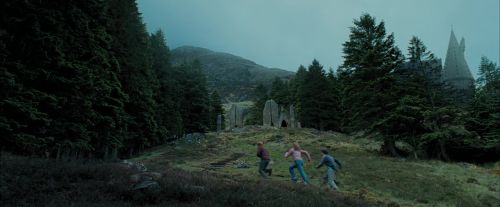 PdA-Potterish_5517.jpg