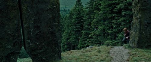 PdA-Potterish_5518.jpg