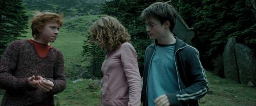 PdA-Potterish_5571.jpg