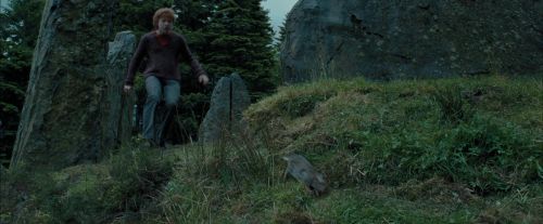 PdA-Potterish_5577.jpg
