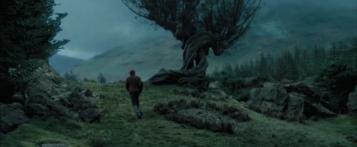 Click to view full size image
==============
PdA-Potterish_5589.jpg PdA-Potterish_5589.jpg
