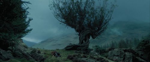 PdA-Potterish_5590.jpg