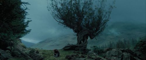 Click to view full size image
==============
PdA-Potterish_5591.jpg PdA-Potterish_5591.jpg