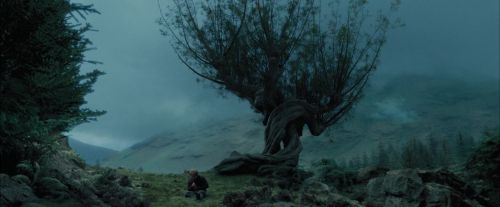 PdA-Potterish_5592.jpg