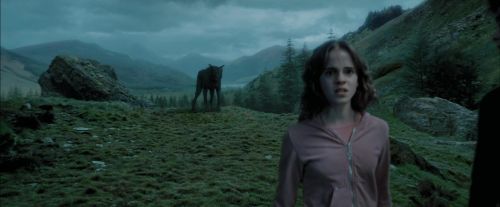 PdA-Potterish_5603.jpg