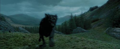 PdA-Potterish_5607.jpg