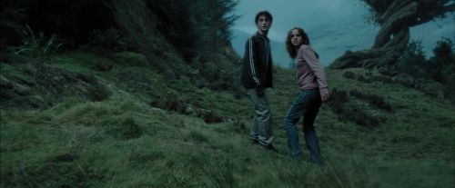 PdA-Potterish_5608.jpg