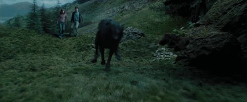 Click to view full size image
==============
PdA-Potterish_5611.jpg PdA-Potterish_5611.jpg