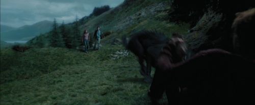 Click to view full size image
==============
PdA-Potterish_5612.jpg PdA-Potterish_5612.jpg