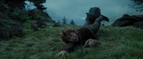 PdA-Potterish_5614.jpg