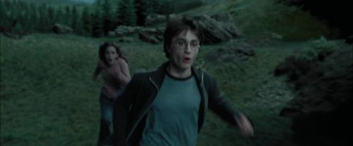 PdA-Potterish_5616.jpg