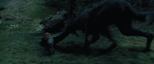 PdA-Potterish_5618.jpg