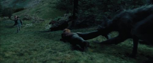 PdA-Potterish_5619.jpg