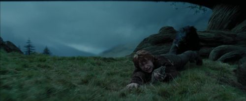 Click to view full size image
==============
PdA-Potterish_5620.jpg PdA-Potterish_5620.jpg