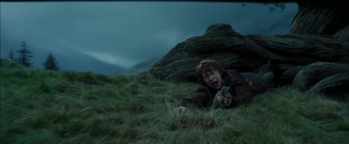 PdA-Potterish_5621.jpg