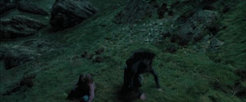 PdA-Potterish_5632.jpg