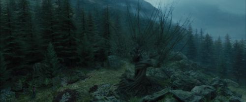 PdA-Potterish_5638.jpg