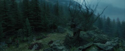 Click to view full size image
==============
PdA-Potterish_5640.jpg PdA-Potterish_5640.jpg