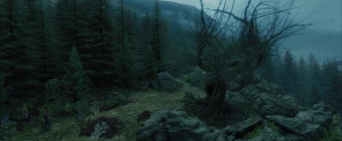 PdA-Potterish_5641.jpg