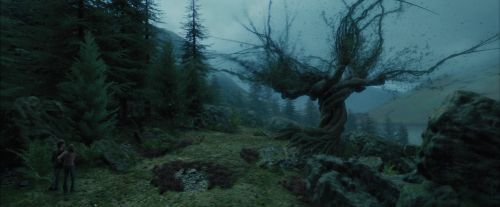 Click to view full size image
==============
PdA-Potterish_5644.jpg PdA-Potterish_5644.jpg