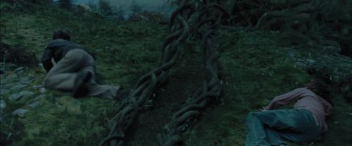 Click to view full size image
==============
PdA-Potterish_5650.jpg PdA-Potterish_5650.jpg