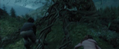Click to view full size image
==============
PdA-Potterish_5651.jpg PdA-Potterish_5651.jpg