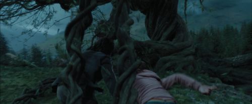 PdA-Potterish_5652.jpg