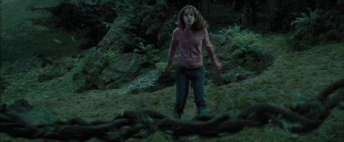 PdA-Potterish_5660.jpg
