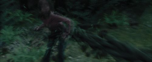 PdA-Potterish_5664.jpg