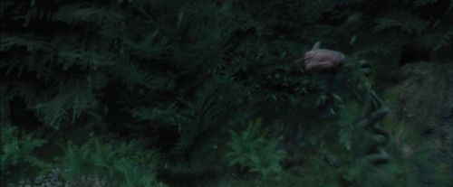 PdA-Potterish_5665.jpg
