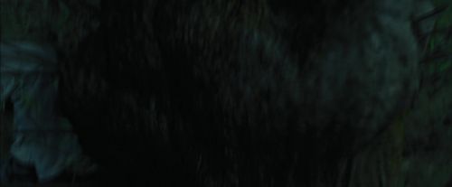 PdA-Potterish_5670.jpg