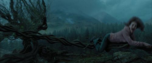 PdA-Potterish_5677.jpg