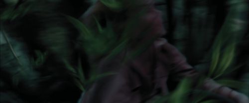 PdA-Potterish_5688.jpg