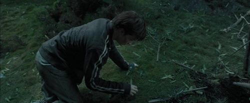 Click to view full size image
==============
PdA-Potterish_5692.jpg PdA-Potterish_5692.jpg
