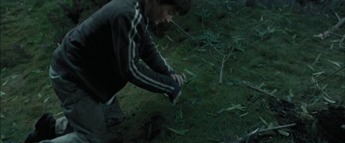 Click to view full size image
==============
PdA-Potterish_5693.jpg PdA-Potterish_5693.jpg